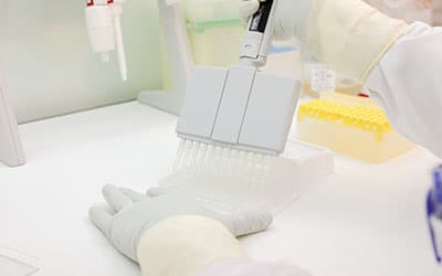 Amino Acid Composition Analysis: Principles, Challenges, and Reliable Solutions