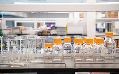 Isotope Labeled Amino Acids: A Comprehensive Guide for Researchers